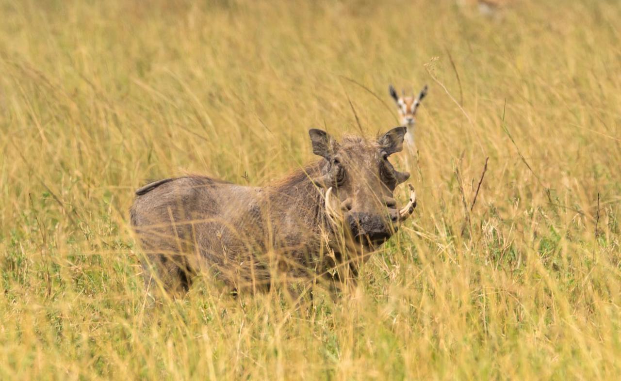 Ngorongoro Lodge Member Of Melia Collection - The Leading Hotels Of The World Exterior photo