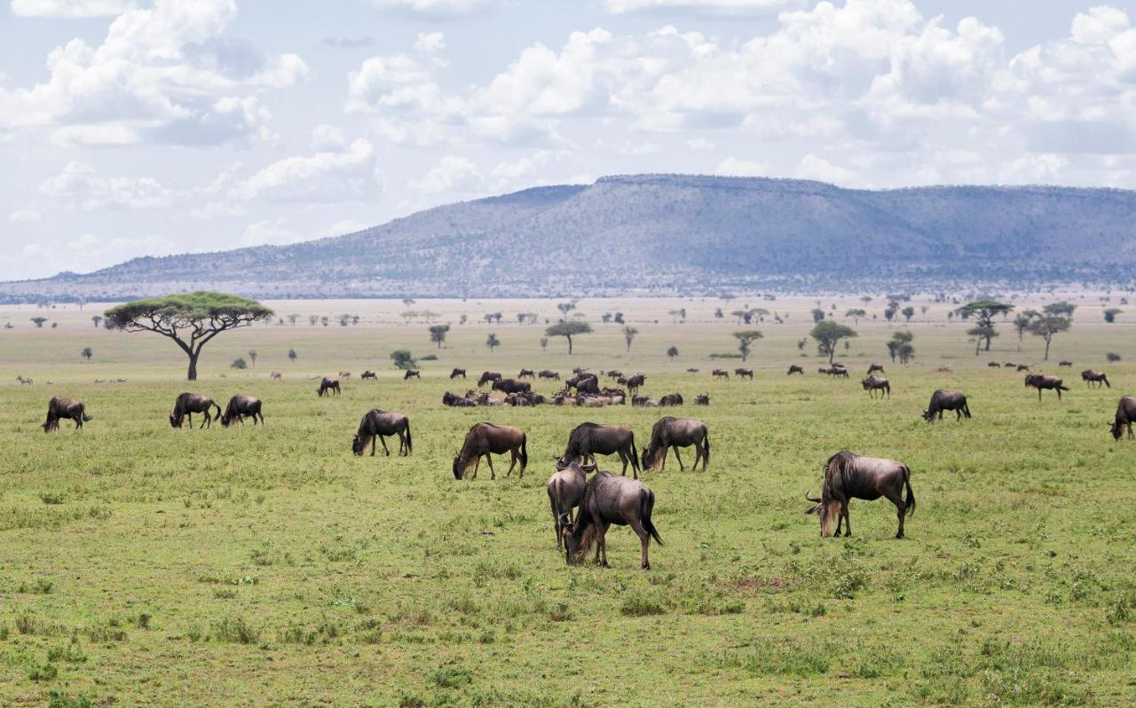 Ngorongoro Lodge Member Of Melia Collection - The Leading Hotels Of The World Exterior photo