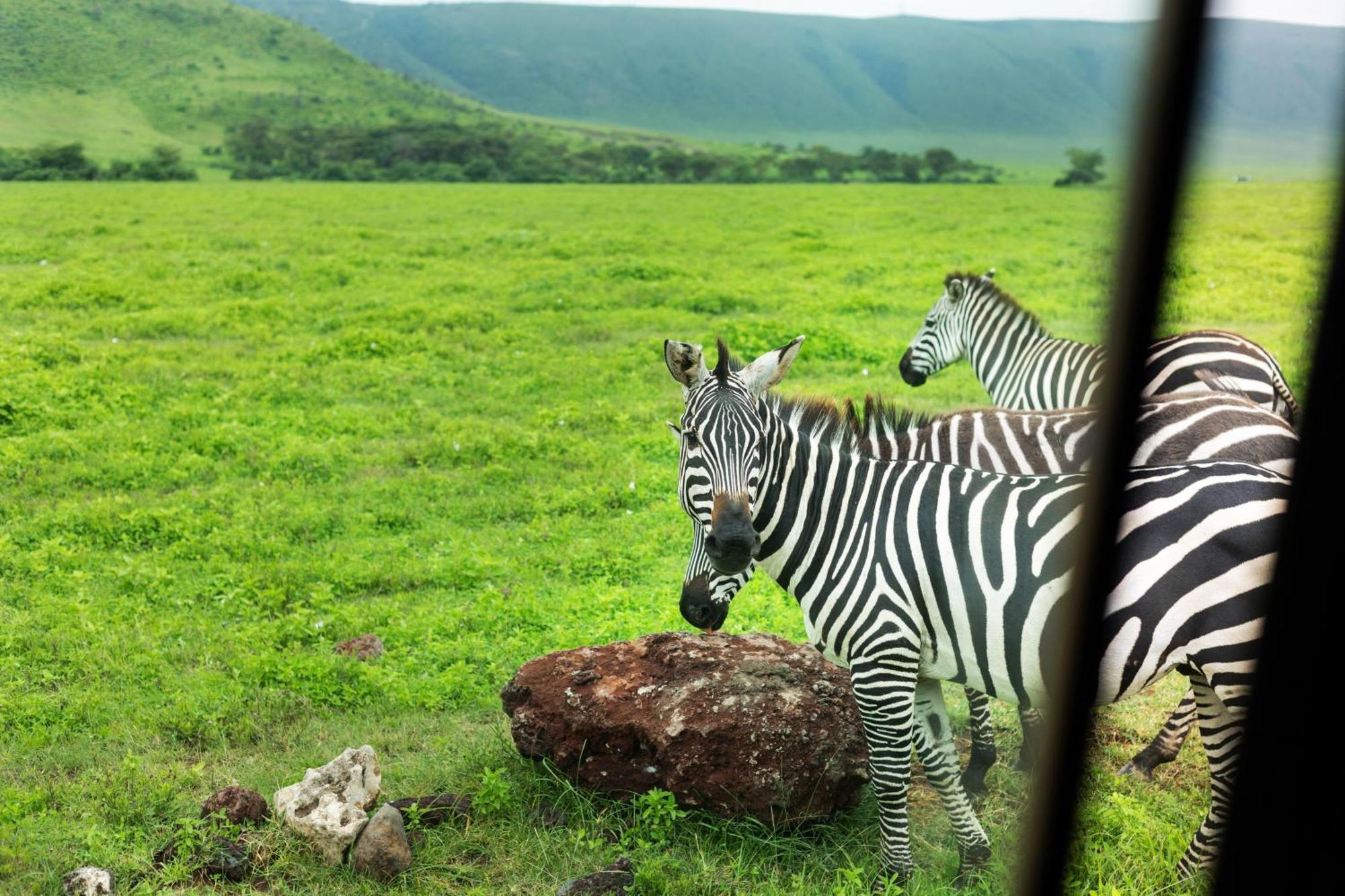 Ngorongoro Lodge Member Of Melia Collection - The Leading Hotels Of The World Exterior photo